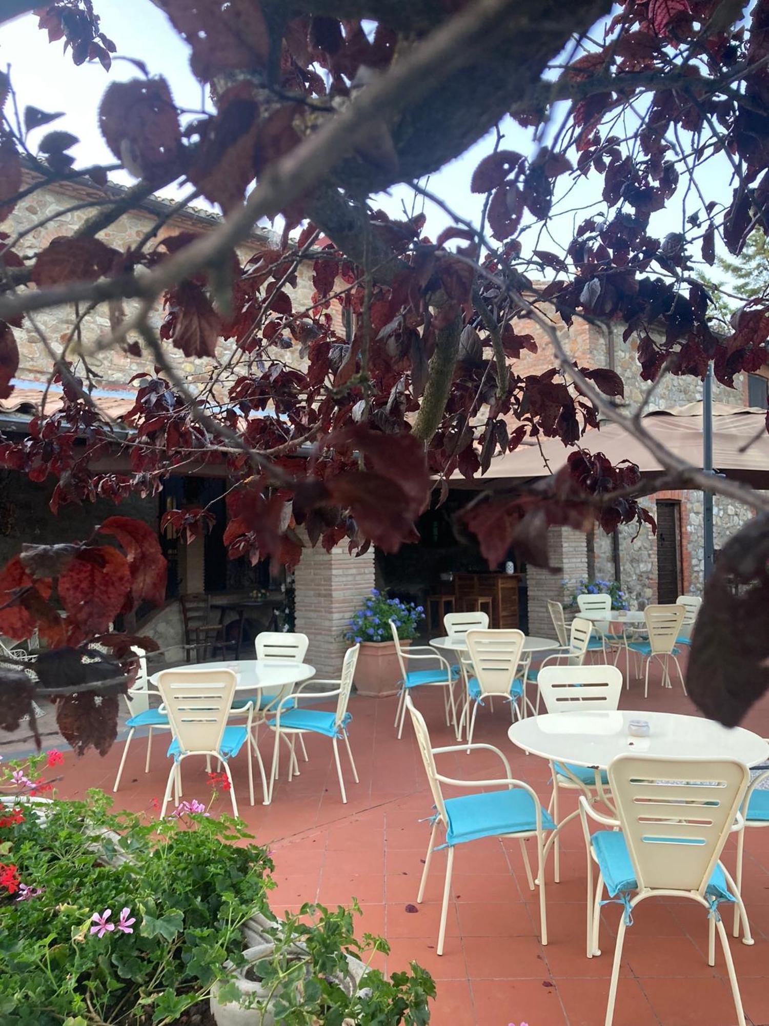 Allerona Country House La Collina Di Bargiano - Casa Raffaella מראה חיצוני תמונה