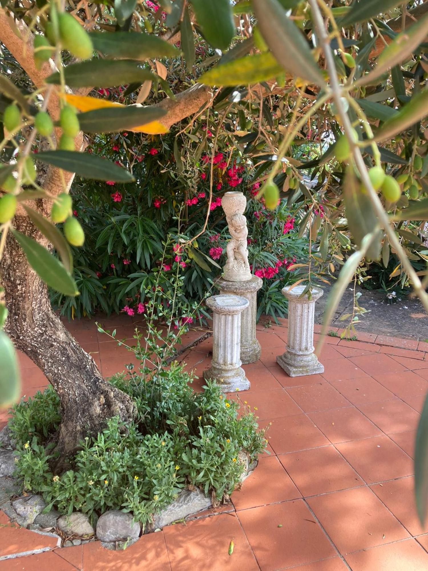 Allerona Country House La Collina Di Bargiano - Casa Raffaella מראה חיצוני תמונה