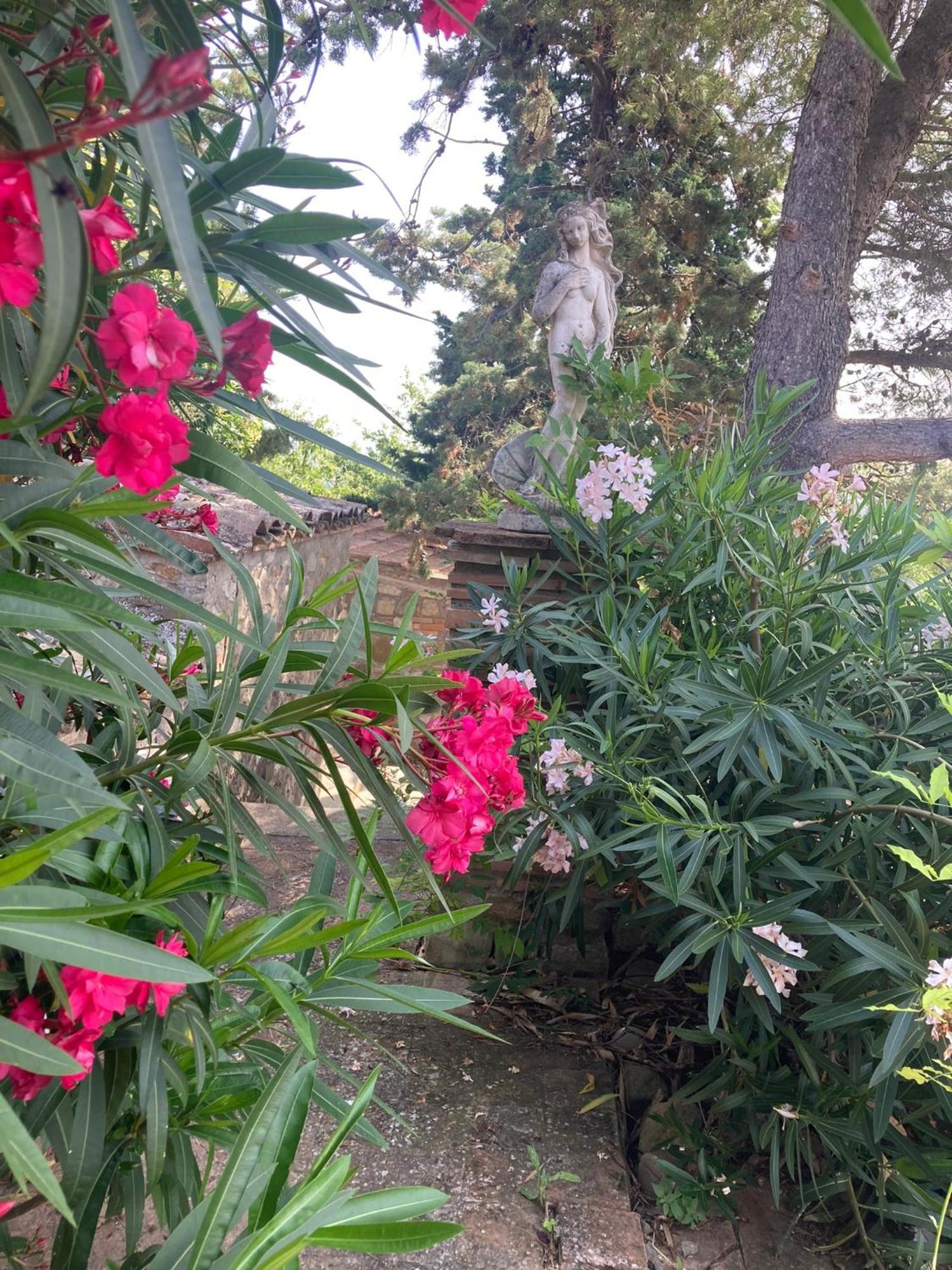 Allerona Country House La Collina Di Bargiano - Casa Raffaella מראה חיצוני תמונה