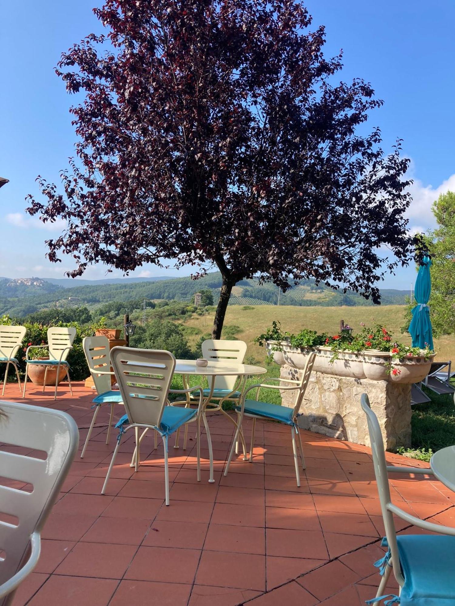 Allerona Country House La Collina Di Bargiano - Casa Raffaella מראה חיצוני תמונה