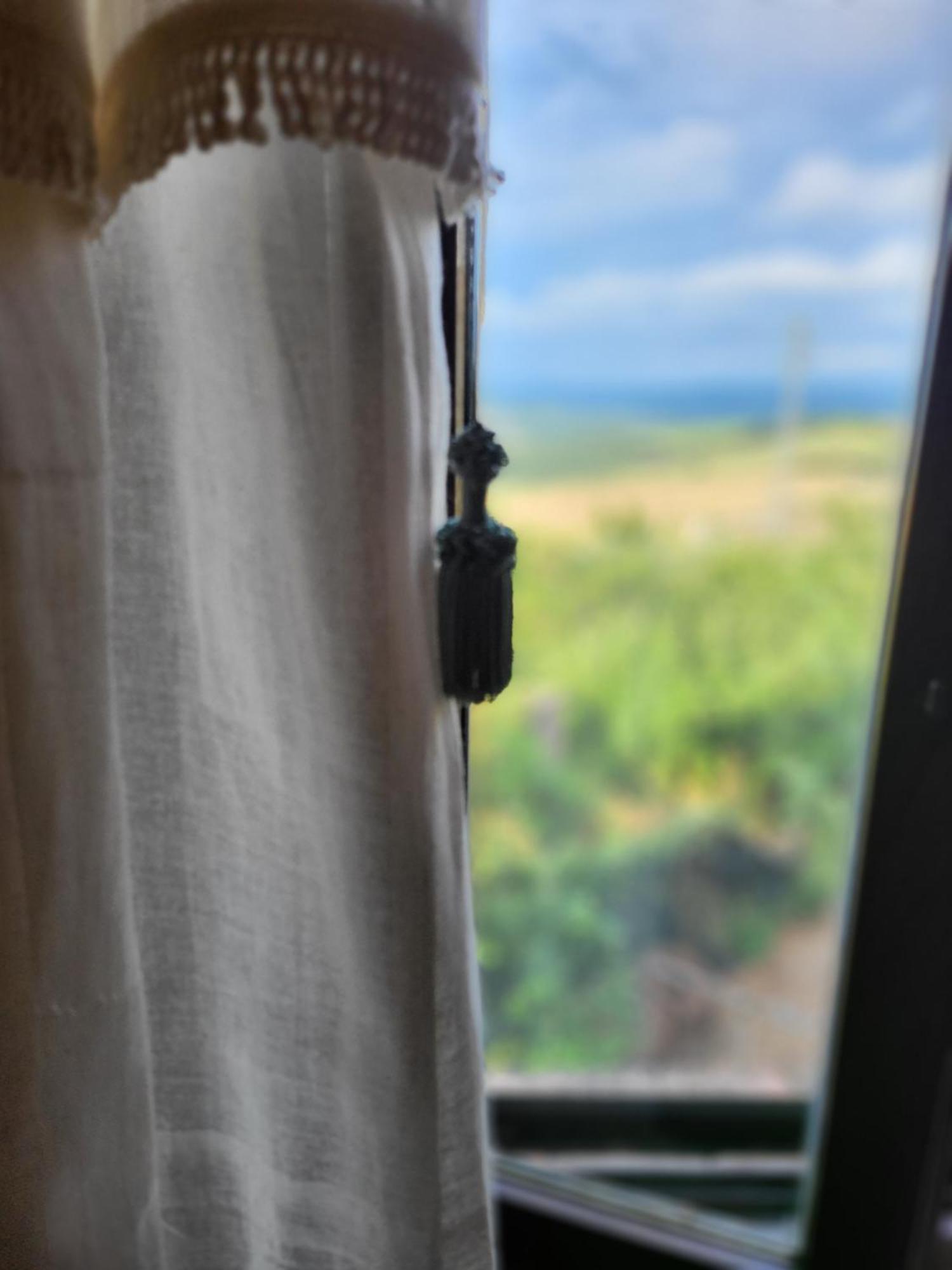 Allerona Country House La Collina Di Bargiano - Casa Raffaella מראה חיצוני תמונה